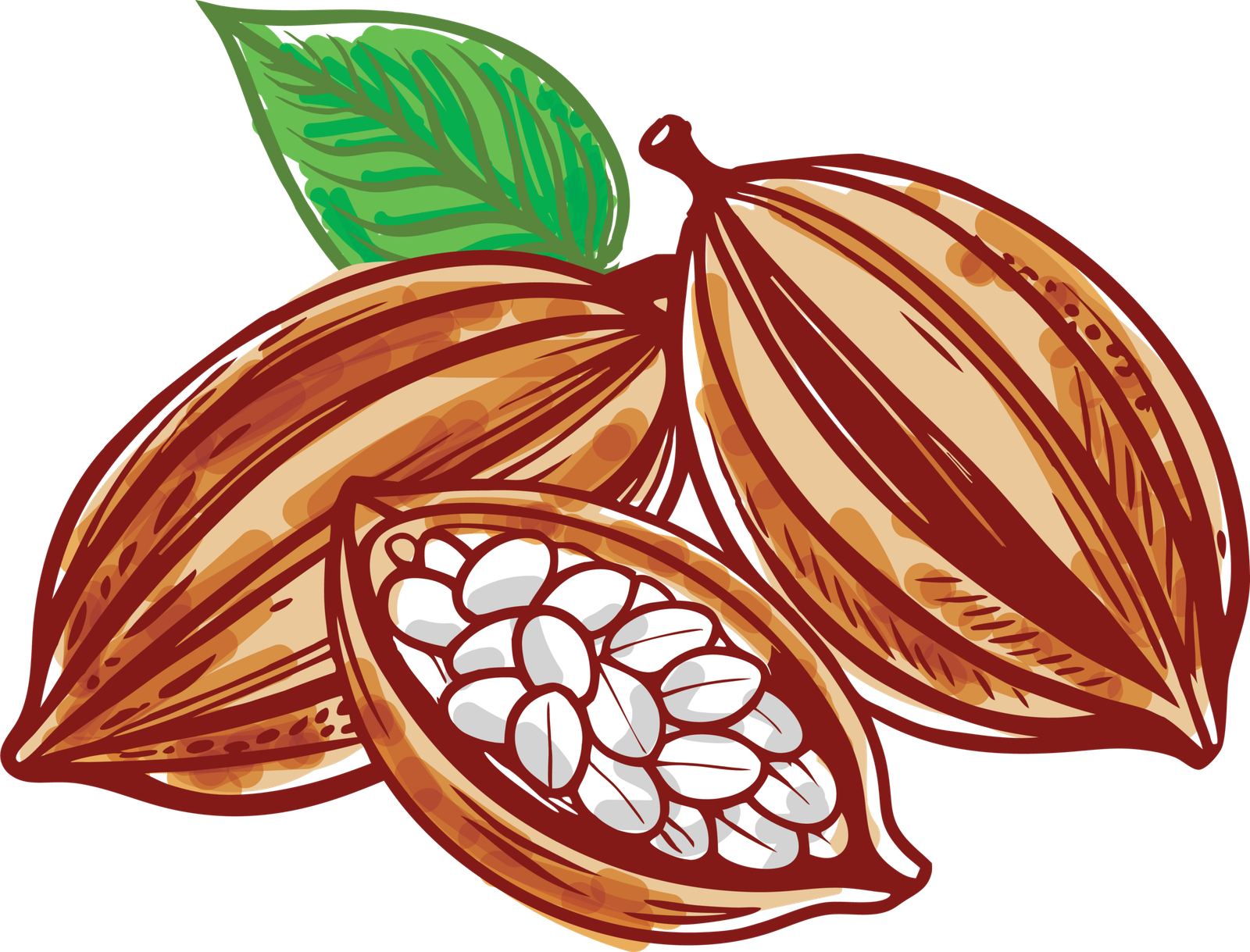 Cocoa
