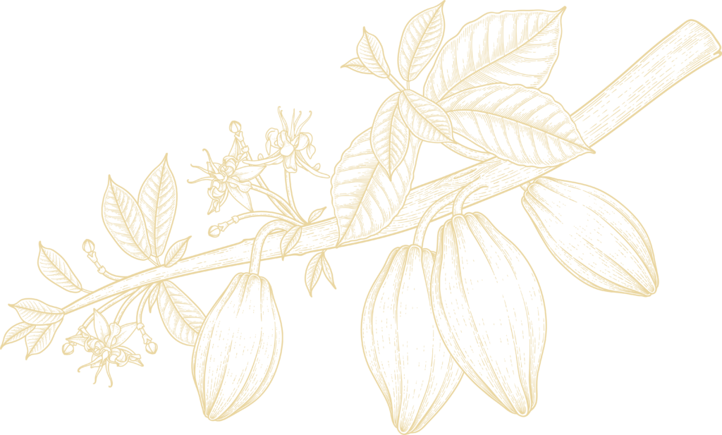 bg 111